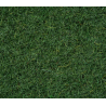 FIBRE HERBE MARÉCAGE