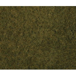 FILET HERBE SAUVAGE OLIVE