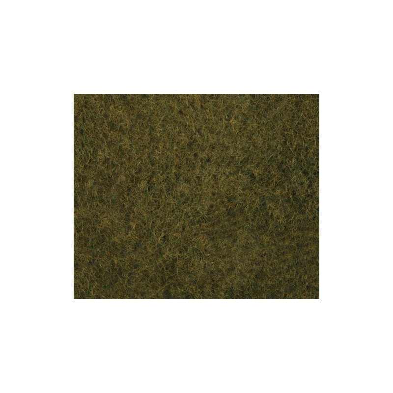 FILET HERBE SAUVAGE OLIVE