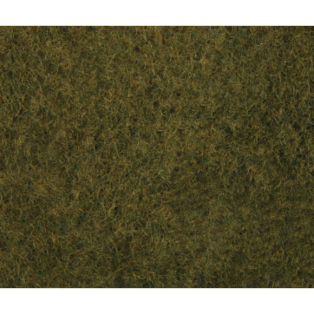 FILET HERBE SAUVAGE OLIVE