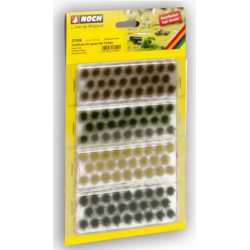 TOUFFES D'HERBES teintes...