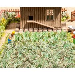 POTAGER