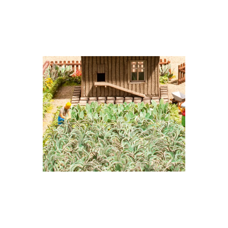POTAGER