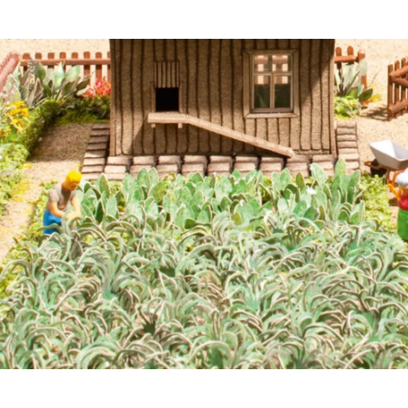POTAGER