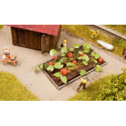 8 PLANTS DE POTIRON