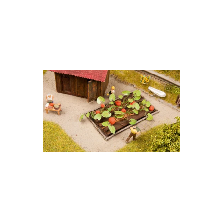 8 PLANTS DE POTIRON