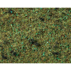 FIBRE HERBES sol de forêt