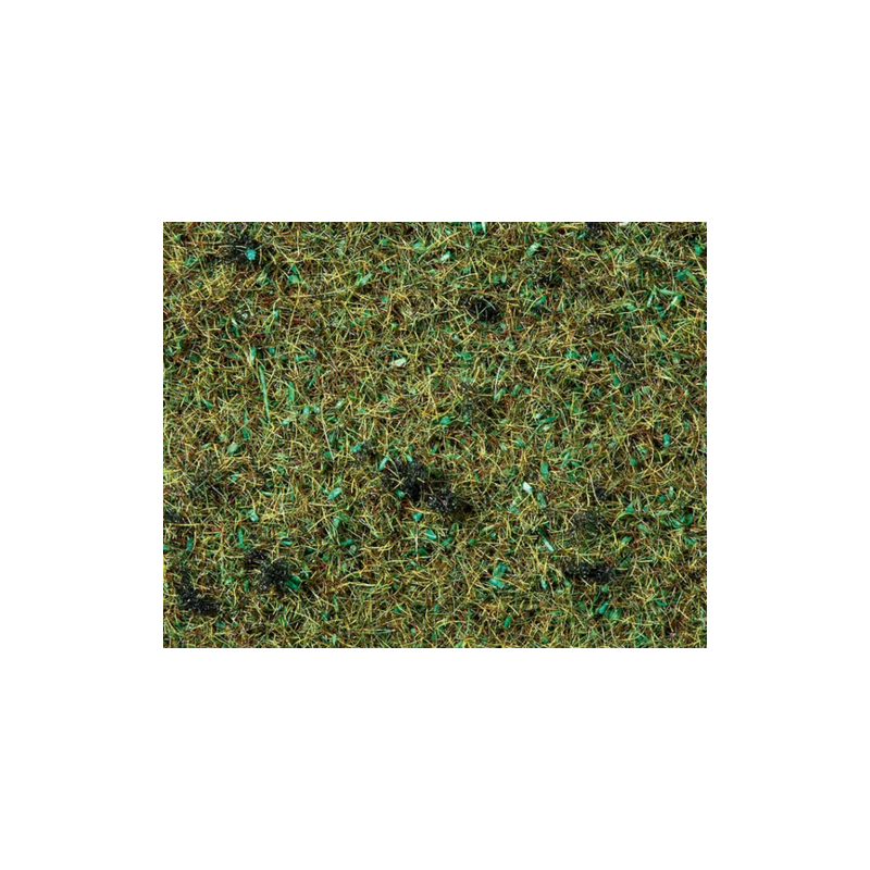 FIBRE HERBES sol de forêt