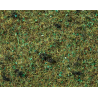 FIBRE HERBES sol de forêt