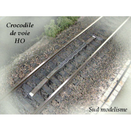 CROCODILE
