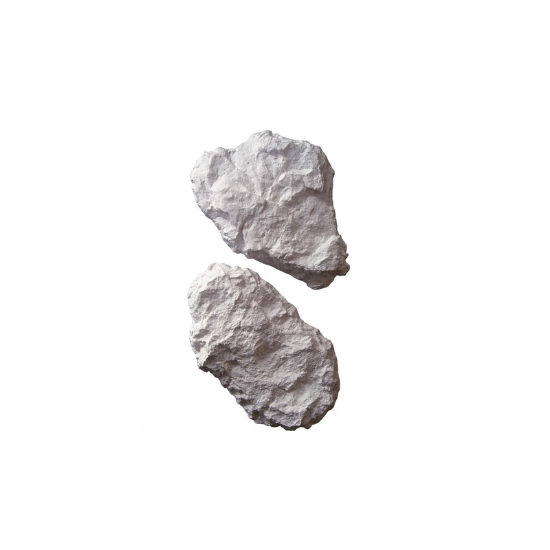 MOULE DE ROCHERS