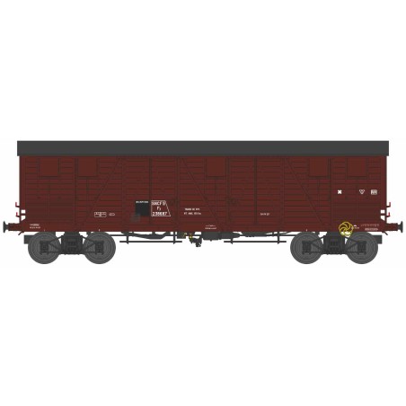WB909 TP PRIMEUR