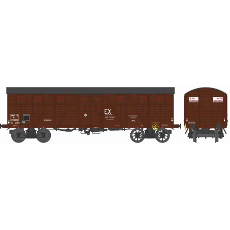 WB913 TP PRIMEUR