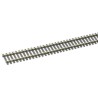 RAIL
