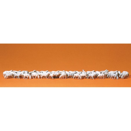 ANIMAUX