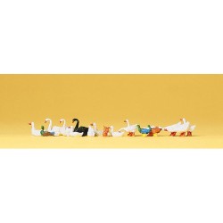 CANARD,OIES,CYGNES