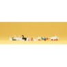CANARD,OIES,CYGNES