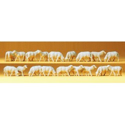 MOUTONS