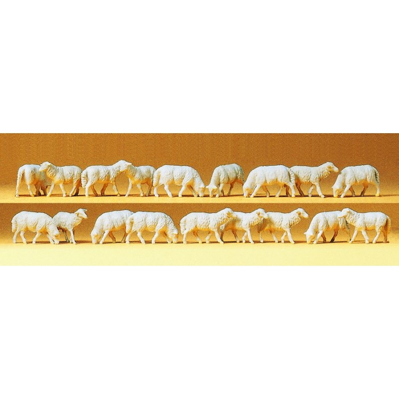 MOUTONS