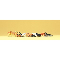 CHIENS ET CHATS