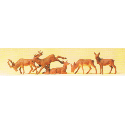 CERFS
