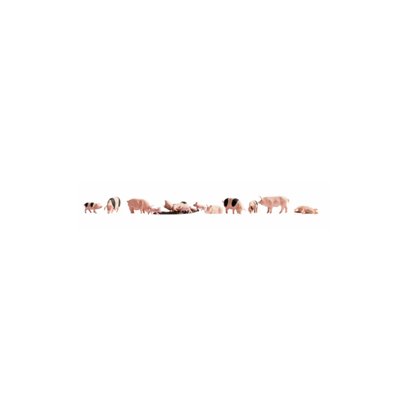 COCHONS