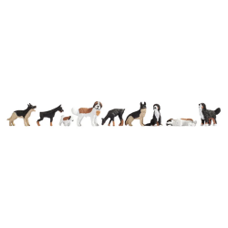 CHIENS