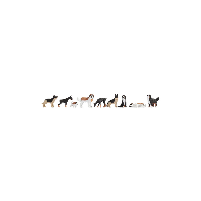 CHIENS