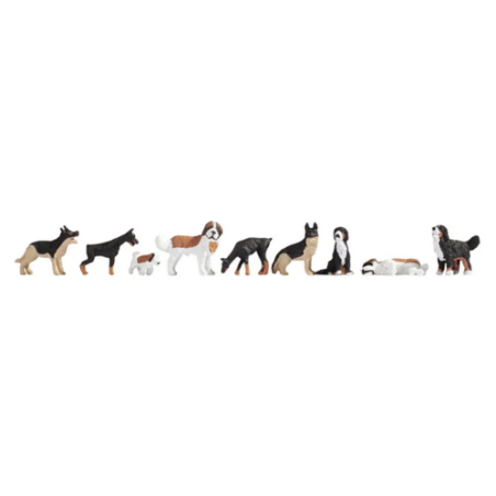 CHIENS