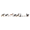 CHIENS
