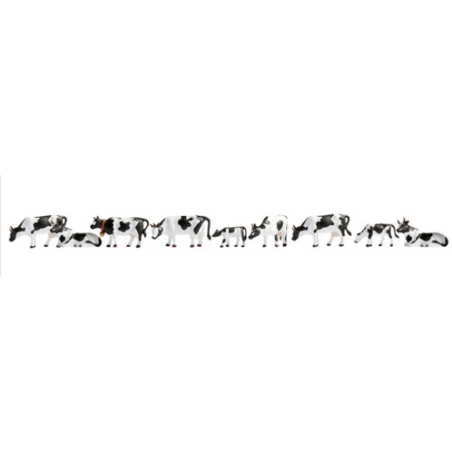 VACHES