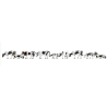 VACHES